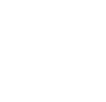 Insight Logo